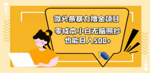 微头条怎么赚钱：微头条最新暴力撸金项目，零成本小白无脑搬运也能日入500+-北极星资源库