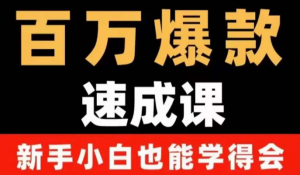 自媒体爆款指南：用数据思维做爆款，小白也能从0-1打造百万播放视频-北极星资源库